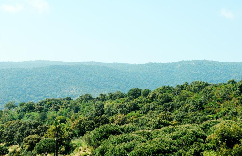 Cap Negre Hotel 르 라방두 객실 사진